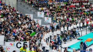 grand prix della ginnastica 0113 sfe02191 copia simone ferraro ph